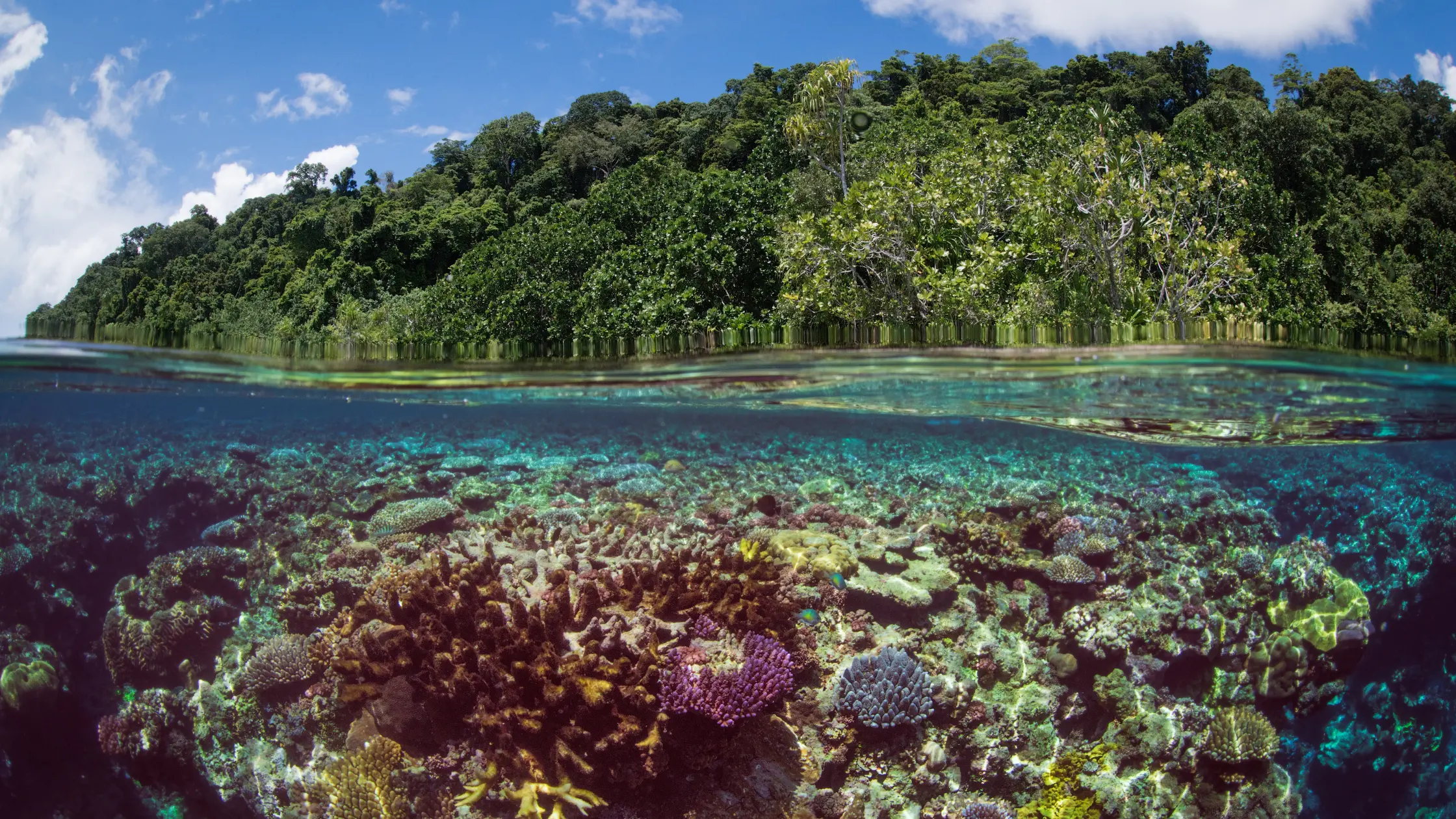 European Parliament's biodiversity legislation