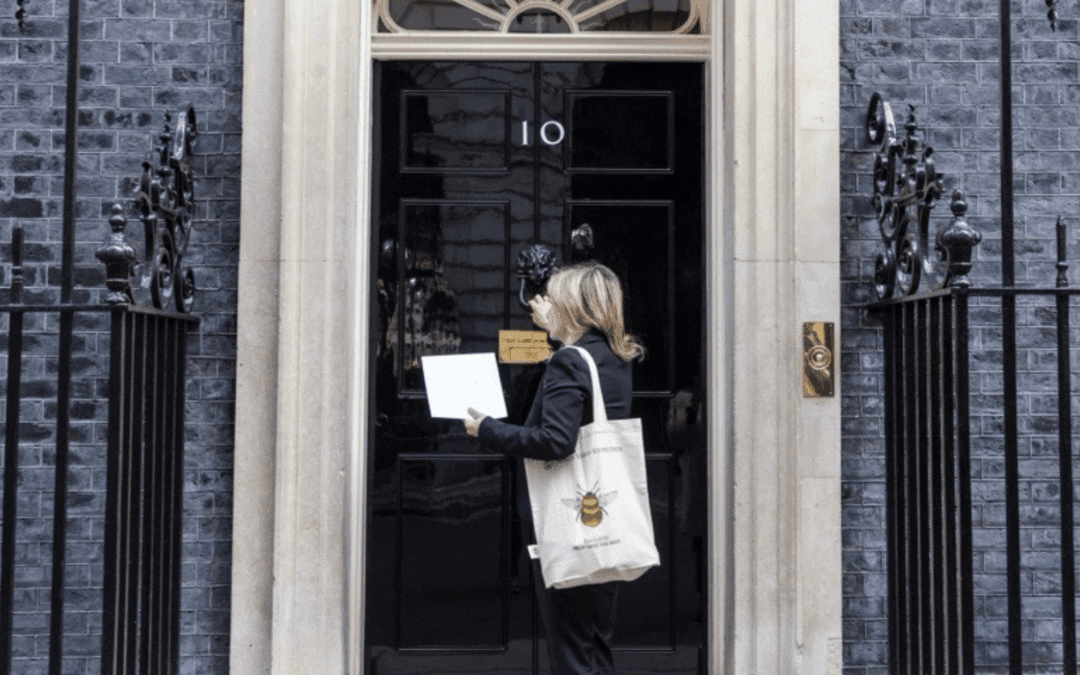 Beauty’s Stand by Bees receives recognition in Westminster Hall debate