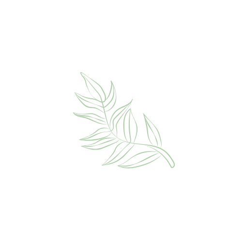 SBC Planet Positive Beauty 