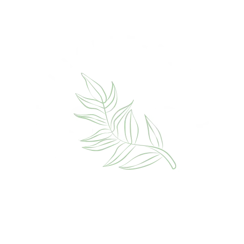 SBC Planet Positive Beauty 