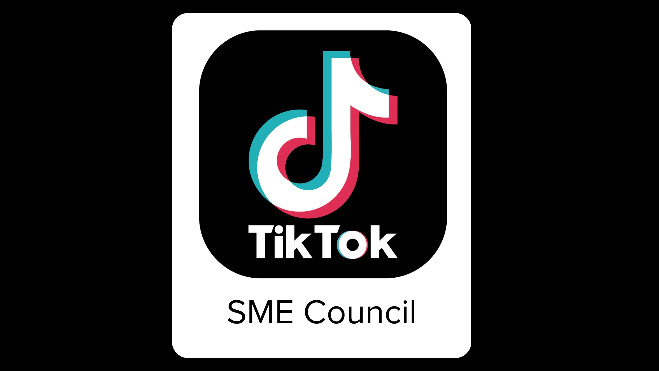 TikTok SME Council