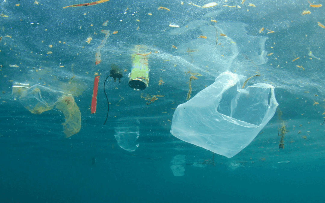 United Nations negotiations on a Global Plastics Treaty break down – here’s what it means for beauty