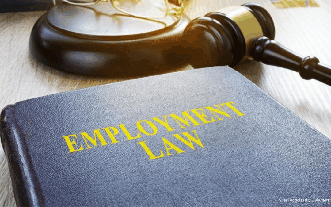 The Future of Beauty Employment: Have Your Say on Employment Rights